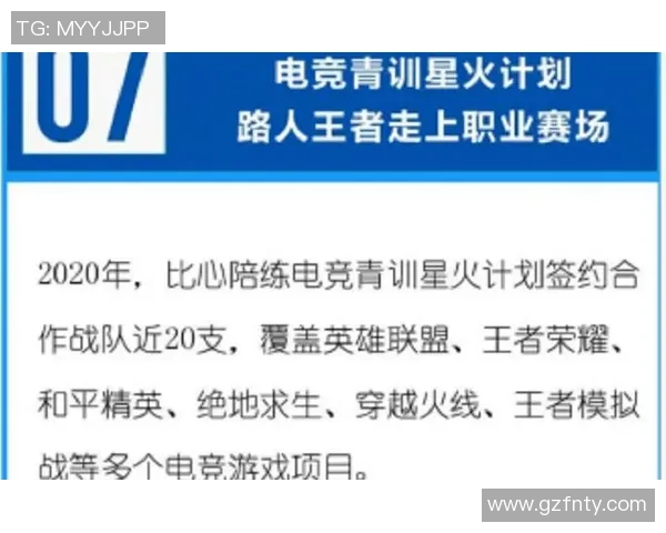 深入探讨FPX战队在王者荣耀中的个人能力与团队协作的完美结合