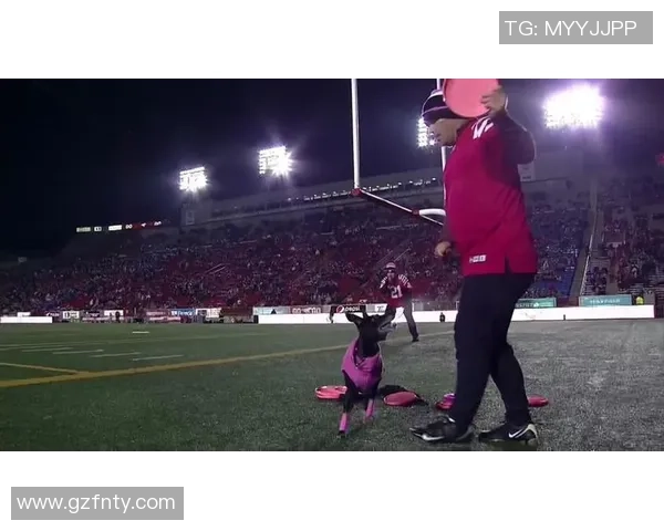 重庆飞盘队区域防守策略深度解析与战术应用探讨 重庆飞盘队区域防守策略深度解析与战术应用探讨